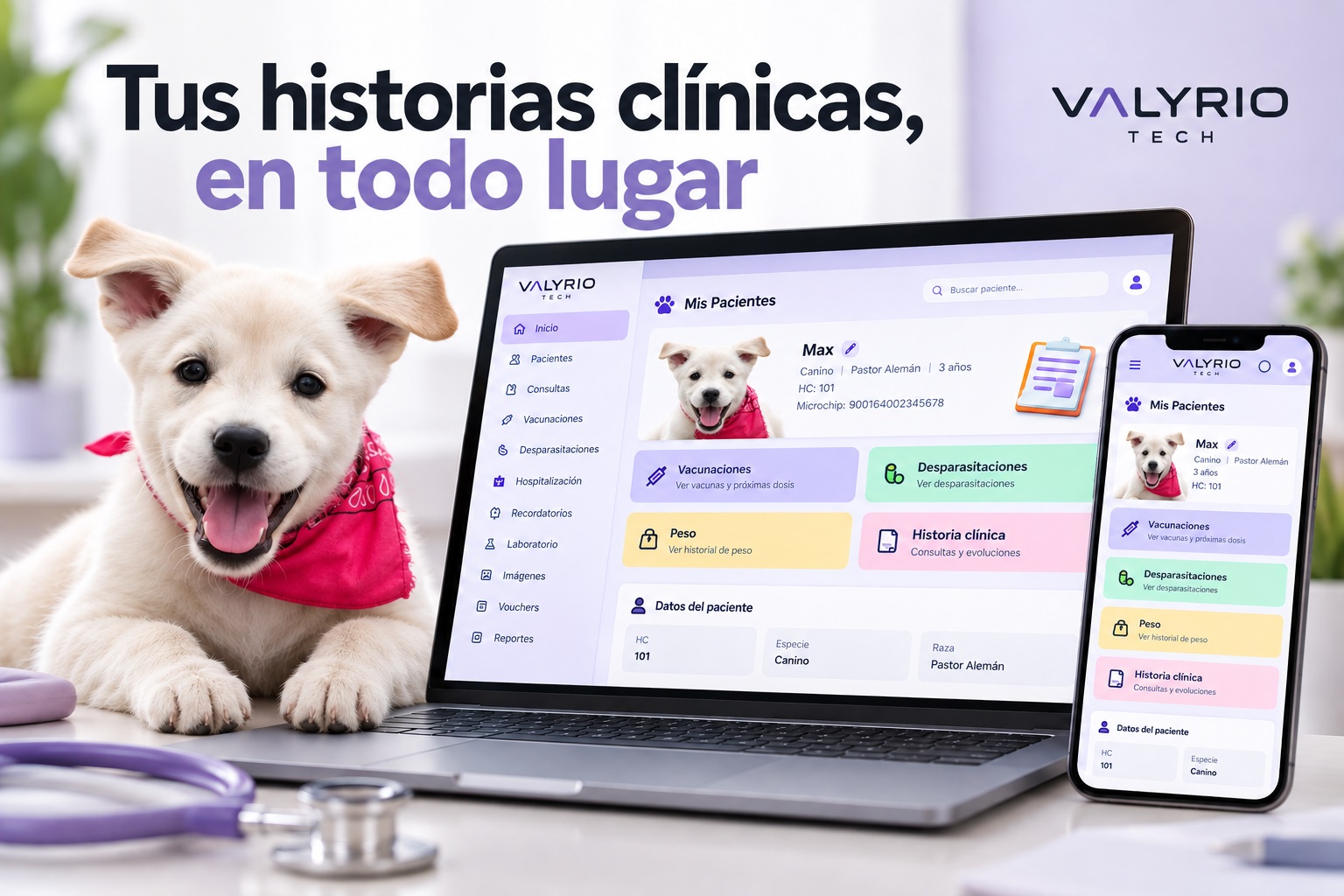 Vista principal de Historias Clínicas